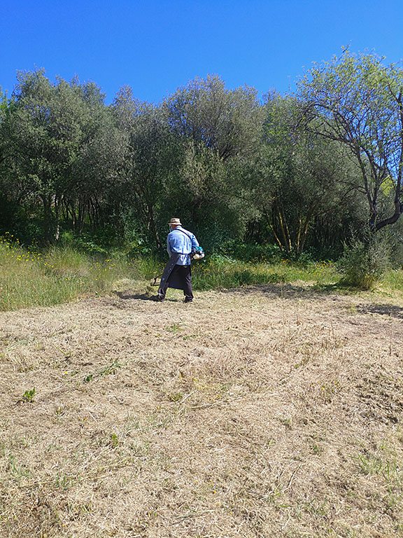 Il Parco di Villa Boldetti, Iglesias SU